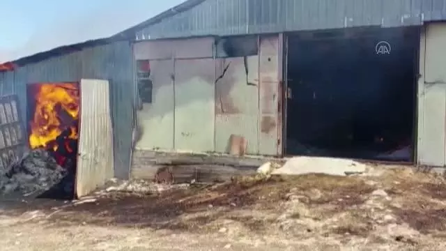 Yangında 55 küçükbaş hayvan telef oldu