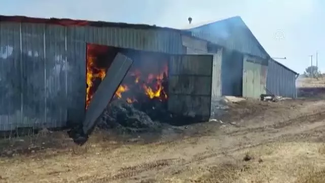 Yangında 55 küçükbaş hayvan telef oldu