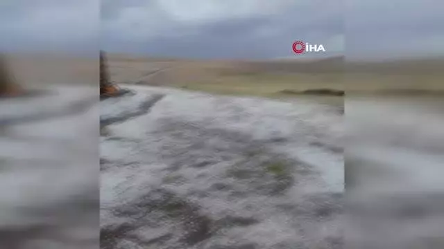 Ağrı'da aniden bastıran dolu çevreyi beyaza bürüdü