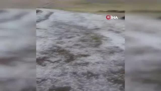 Ağrı'da aniden bastıran dolu çevreyi beyaza bürüdü