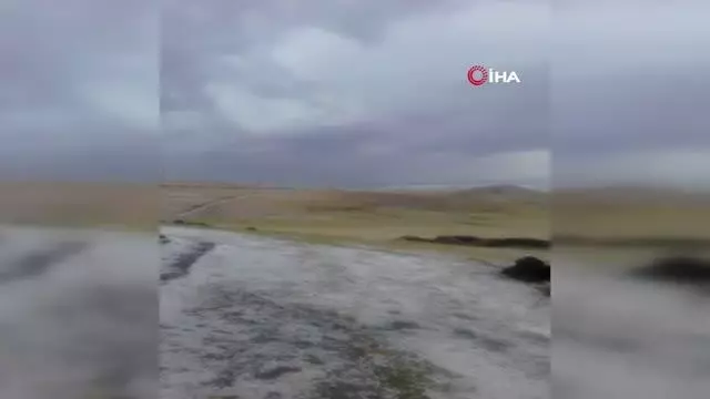Ağrı'da aniden bastıran dolu çevreyi beyaza bürüdü