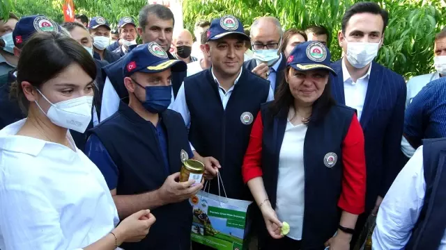 AK Parti'li Turan, Bayramiç Beyazı hasat etkinliğine katıldı