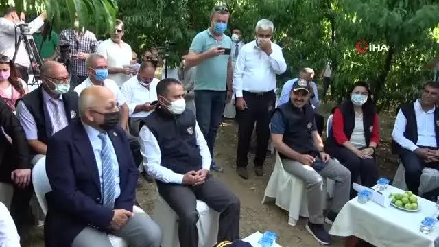 AK Partili Turan, Bayramiç Beyazı hasat etkinliğine katıldı