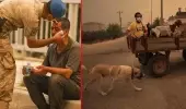Antalya'da can telaşı fotoğraf karelerini yansıdı Antalya'da can telaşı fotoğraf karelerini yansıdı