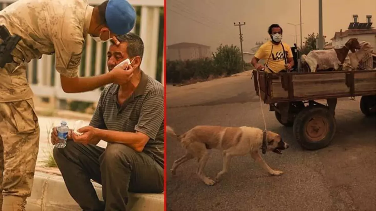Antalya'da can telaşı fotoğraf karelerini yansıdı