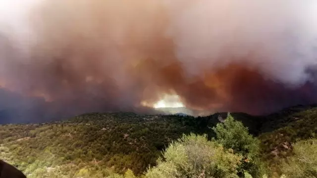Antalya'da orman yangını