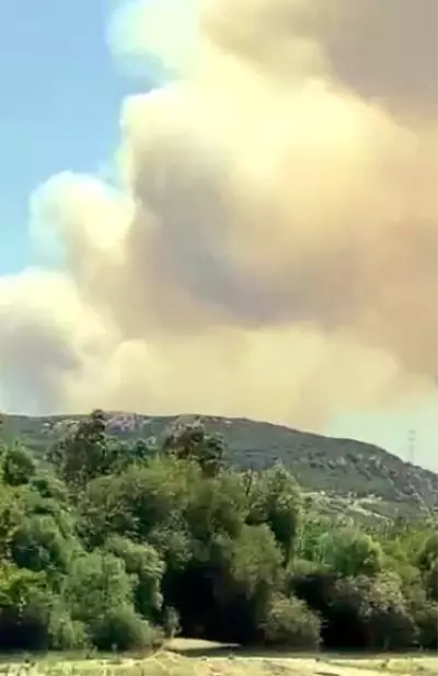 Antalya'da orman yangını