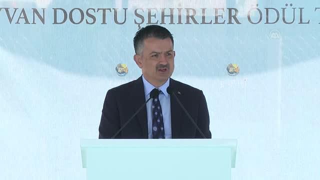 bakan pakdemirli enpati hayvan dostu sehirler 2 14293092 o