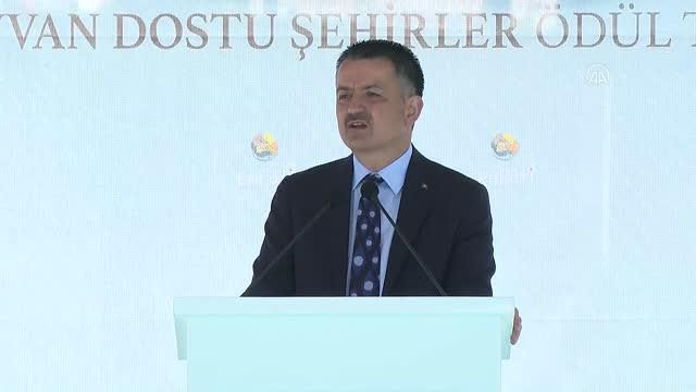 bakan pakdemirli enpati hayvan dostu sehirler 3 14293092 o