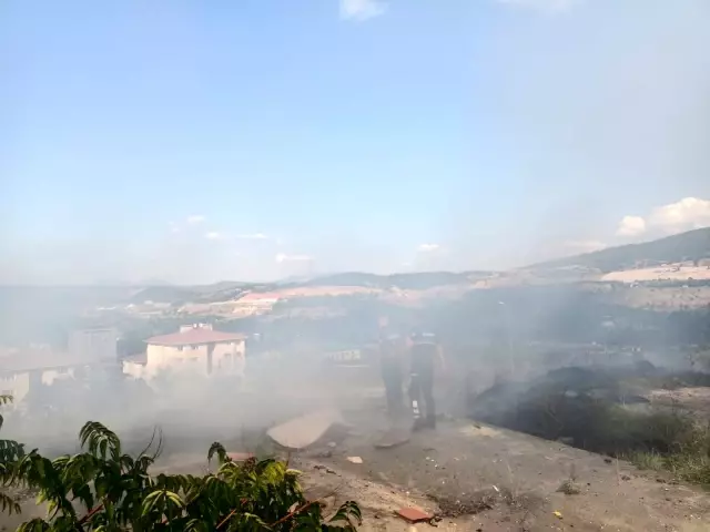 Son dakika... Bilecik'te makilik alanda yangın