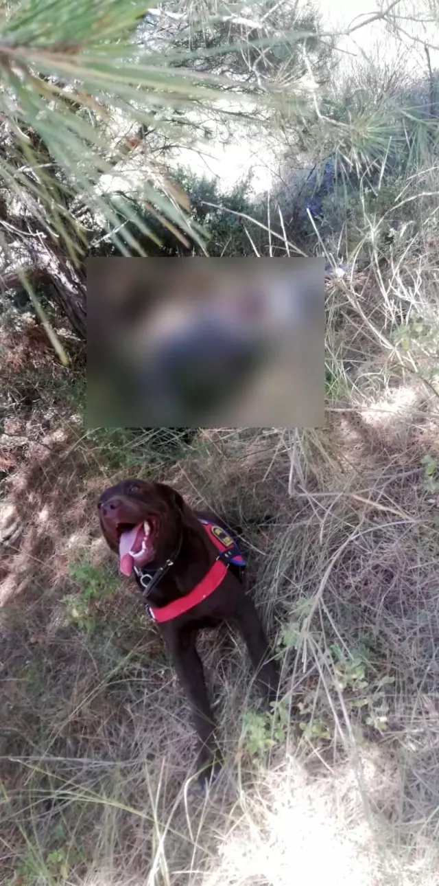 Bugün beni beklemeyin diyen yaşlı adam mezarlıkta ölü bulundu