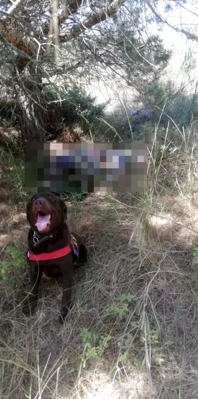 Bugün beni beklemeyin diyen yaşlı adam mezarlıkta ölü bulundu