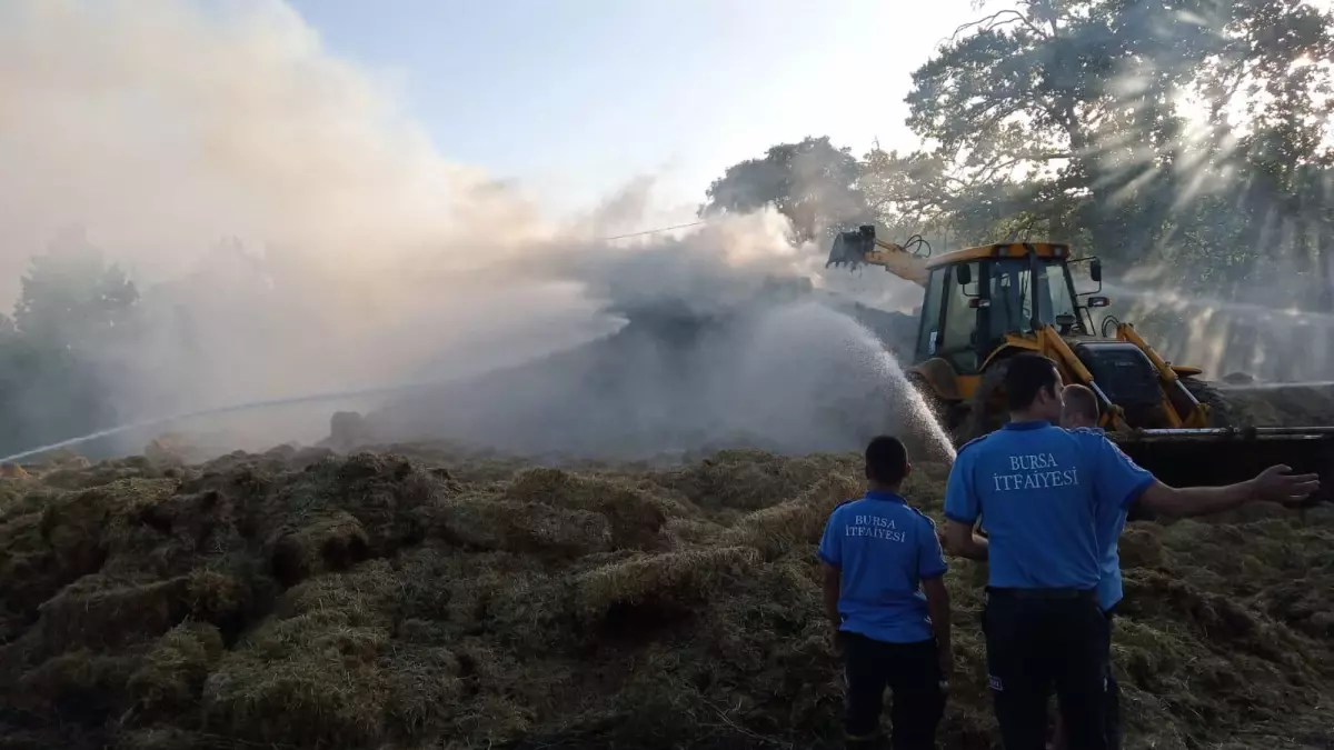 Son dakika haberleri... Bursa'da çıkan yangında 6 bin saman balyası yandı