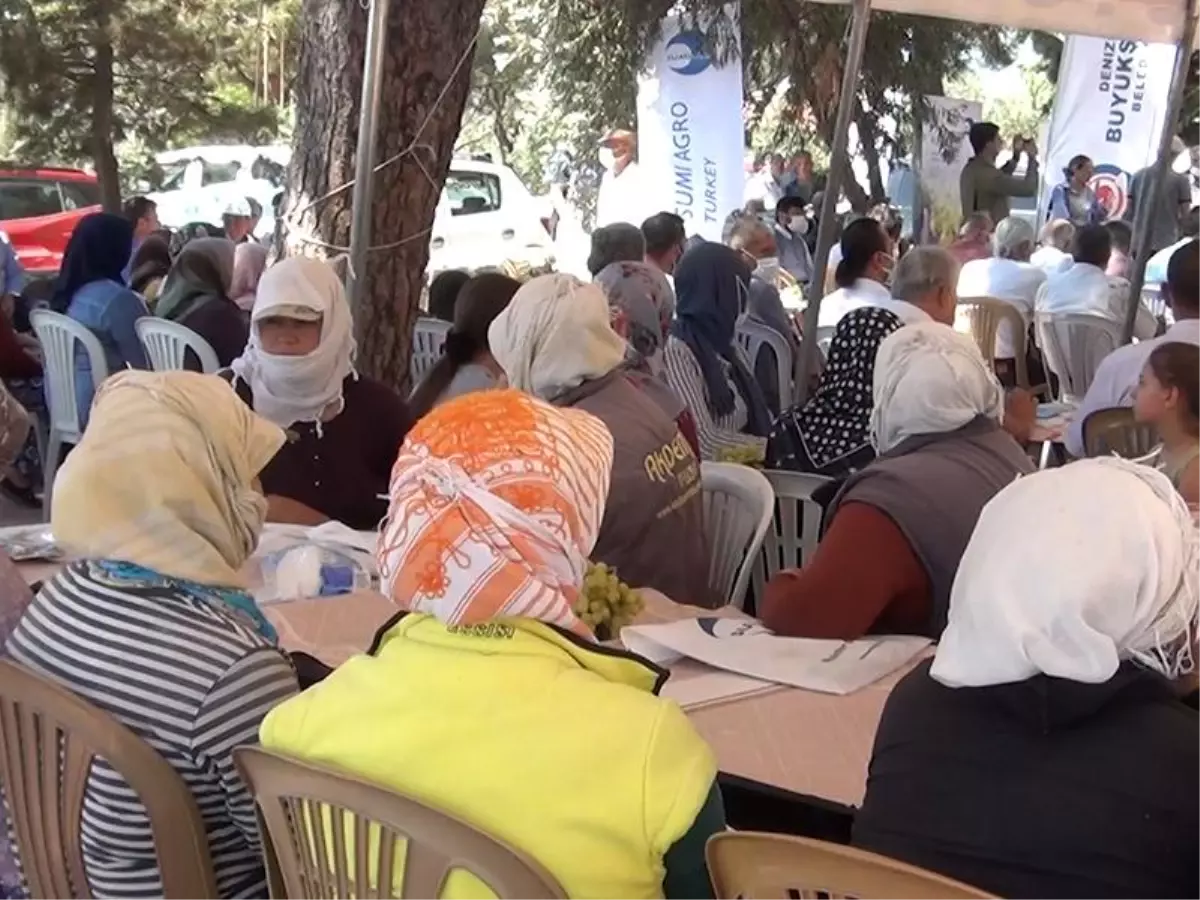 Denizli'de zararlılara karşı tarla günü düzenledi