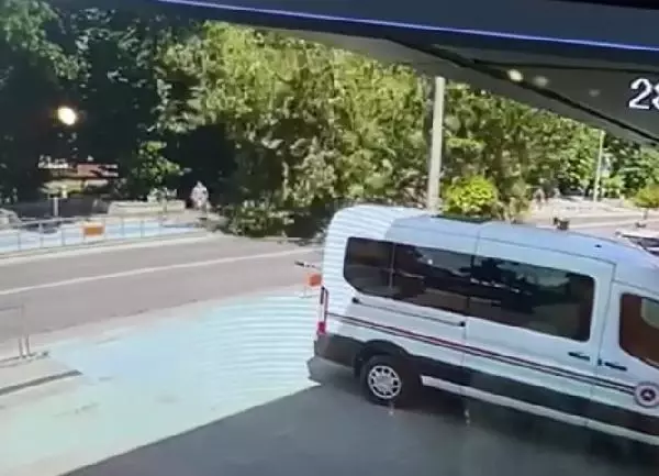Devrilen ağacın altında kalmaktan son anda kurtuldular Devrilen ağacın altında kalmaktan son anda kurtuldular