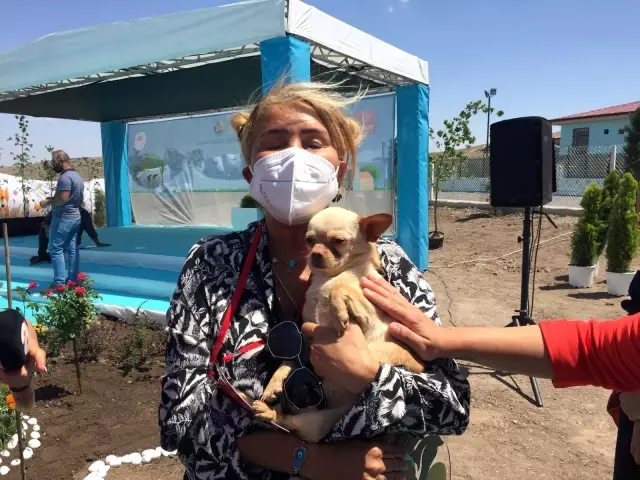 Emine Erdoğan, ses telleri kesilen köpeği Yonca Evcimik'e emanet etti
