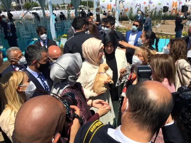 Emine Erdoğan, ses telleri kesilen köpeği Yonca Evcimik'e emanet etti