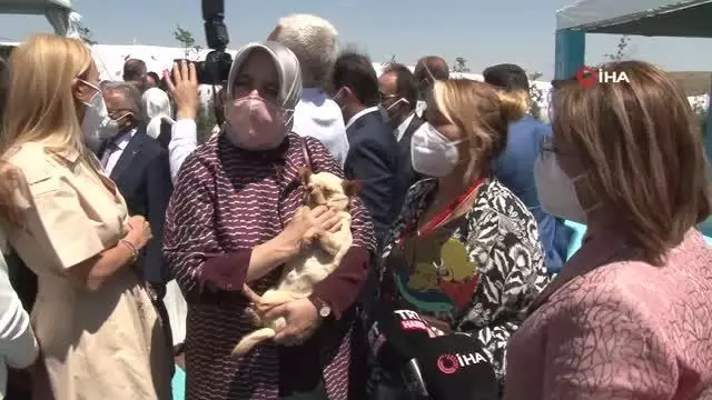Emine Erdoğan, ses telleri kesilen köpeği Yonca Evcimik'e emanet etti