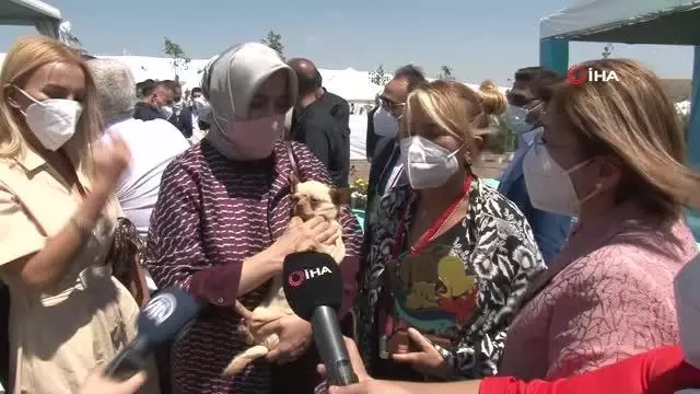 Emine Erdoğan, ses telleri kesilen köpeği Yonca Evcimik'e emanet etti
