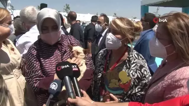 Emine Erdoğan, ses telleri kesilen köpeği Yonca Evcimik'e emanet etti