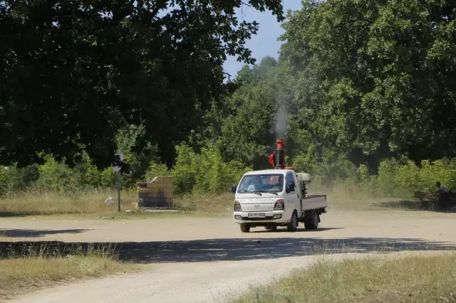Kırklareli'nde dantel böceği ne karşı ilaçlama çalışması başlatıldı