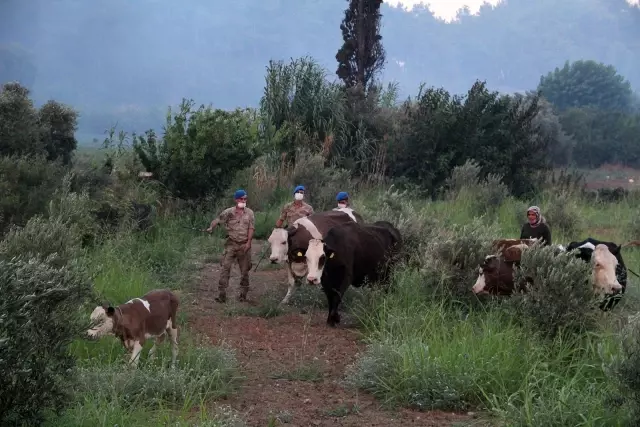 Komandolar yangın bölgesinde
