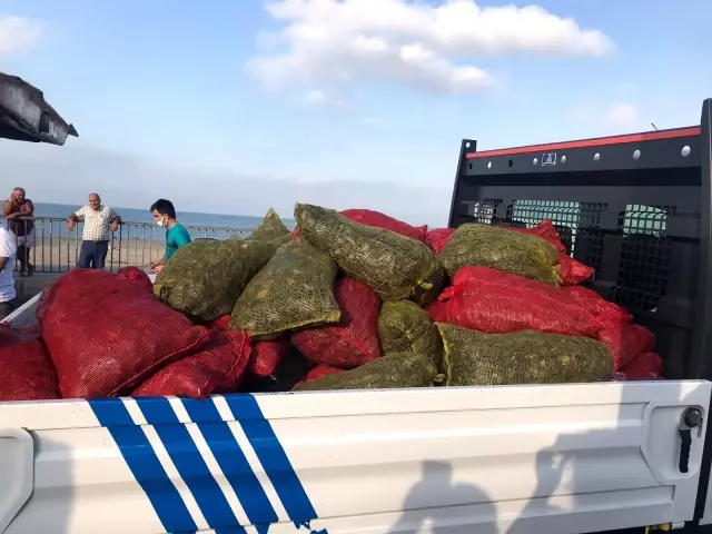 Son dakika haberleri... Küçükçekmece'de kaçak midye avcılığına operasyon
