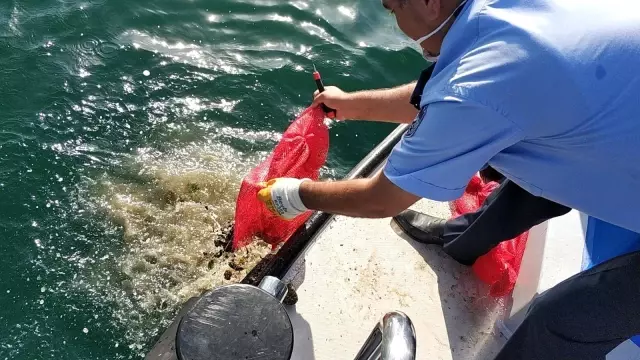 Son dakika haberleri... Küçükçekmece'de kaçak midye avcılığına operasyon