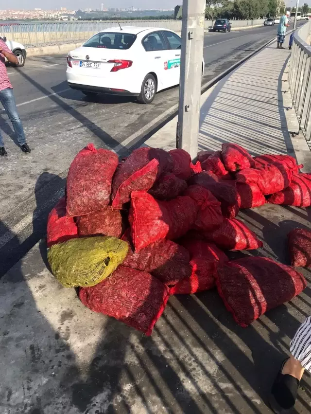 Son dakika haberleri... Küçükçekmece'de kaçak midye avcılığına operasyon