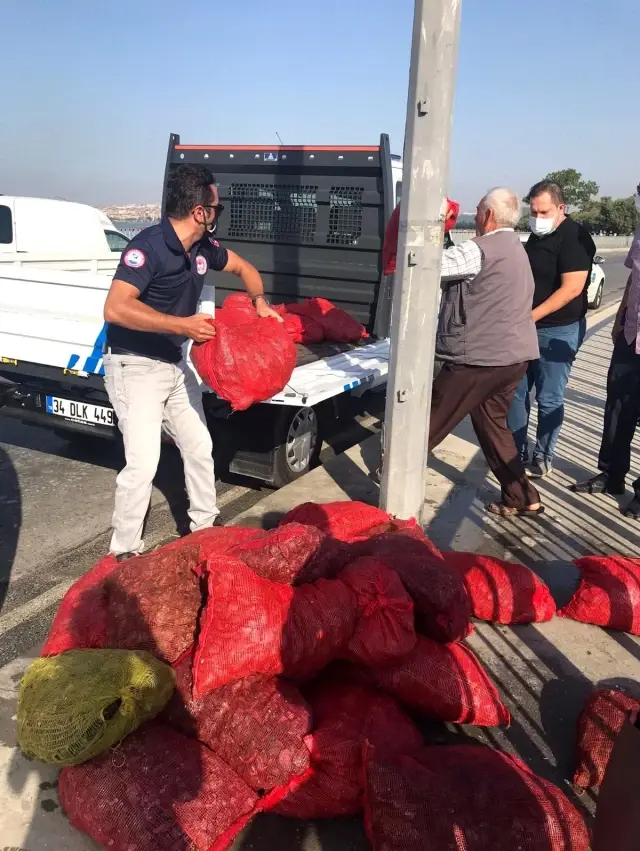 Son dakika haberleri... Küçükçekmece'de kaçak midye avcılığına operasyon