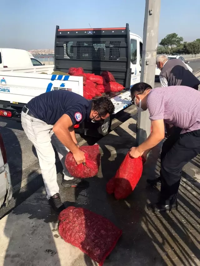 Son dakika haberleri... Küçükçekmece'de kaçak midye avcılığına operasyon