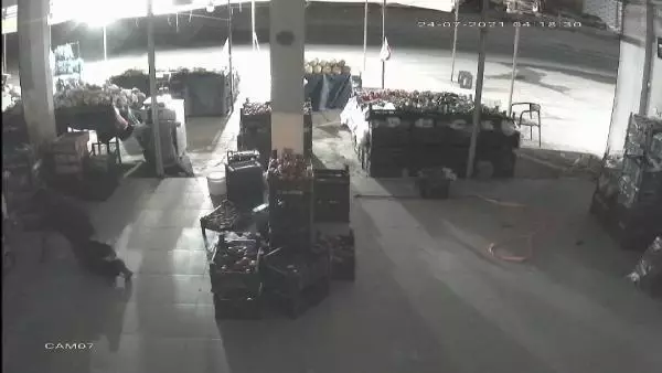 Manav çalışanı uyurken kasadan 500 TL hırsızlığı kamerada