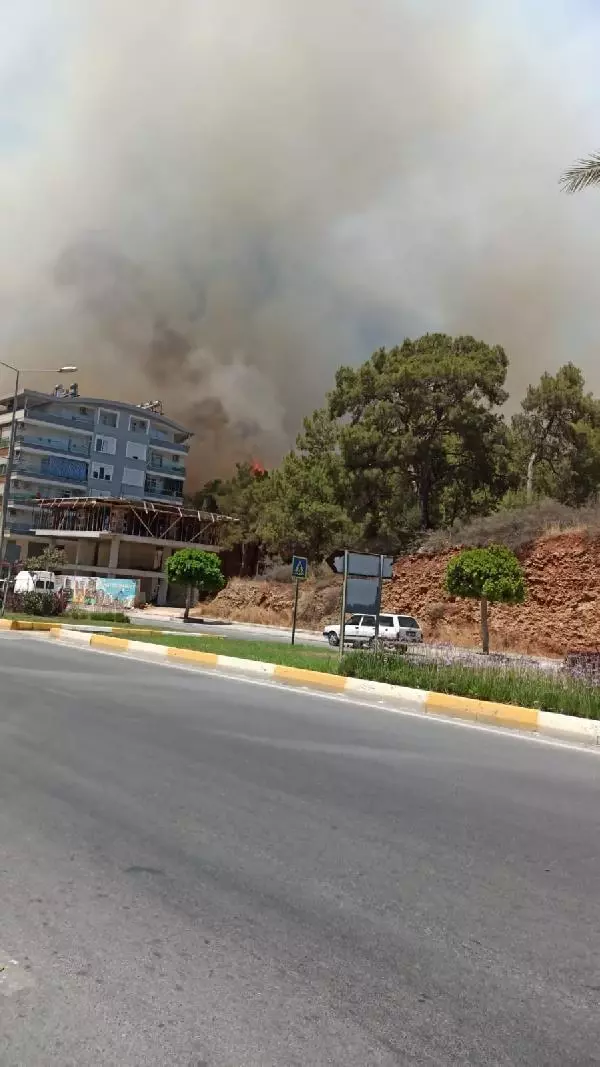 Son dakika: Manavgat'ta 4 noktada orman yangını (2) - Yeniden