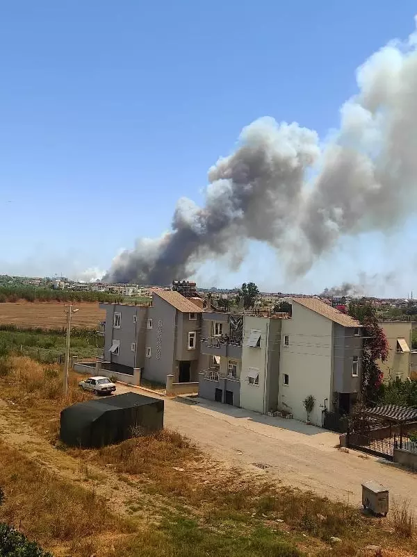 Son dakika: Manavgat'ta 4 noktada orman yangını (2) - Yeniden