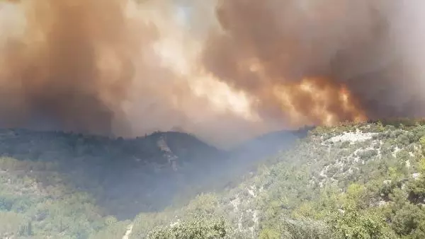 Son dakika: Manavgat'ta 4 noktada orman yangını (2) - Yeniden