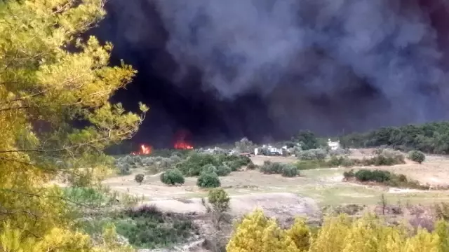 Manavgat'ta hızla büyüyen yangın yerleşim alanlarına indi