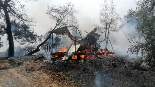 Manavgat'ta hızla büyüyen yangın yerleşim alanlarına indi