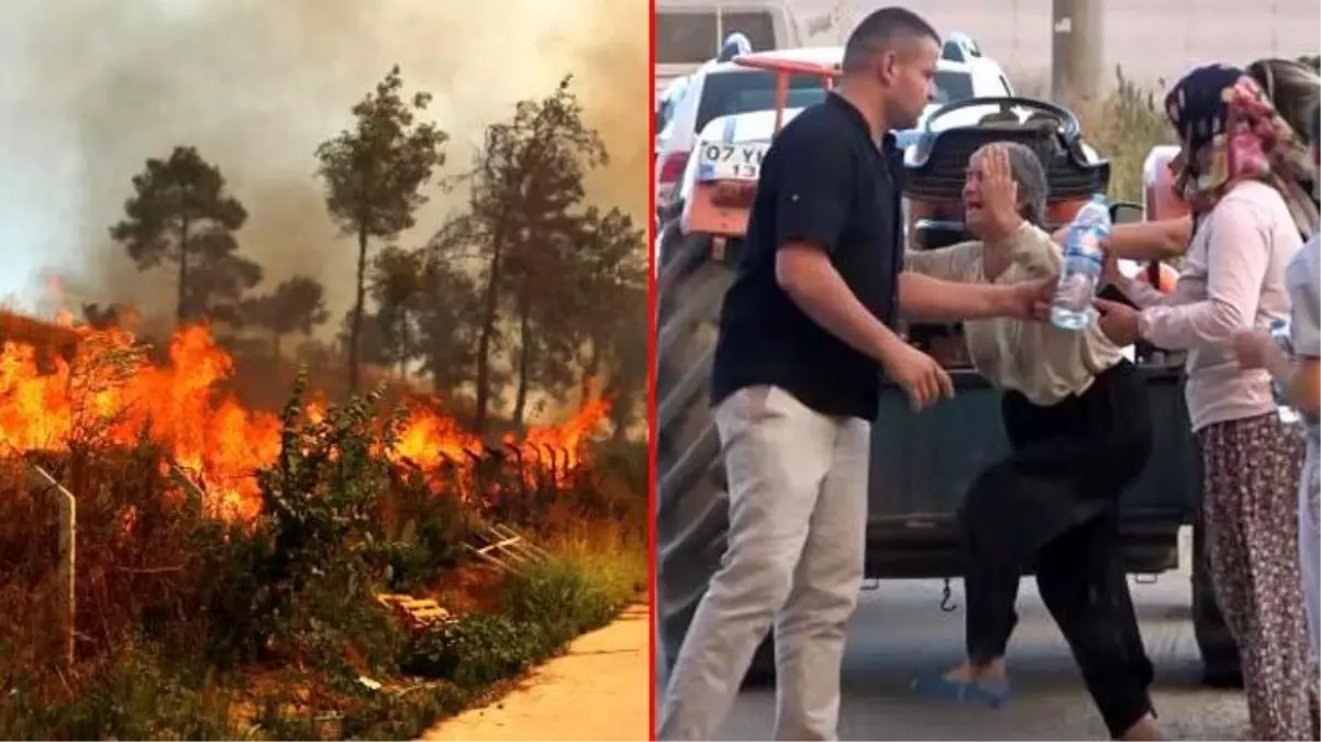 Manavgat'taki yangında sera ve ağaçları yanan kadınlar gözyaşlarına boğuldu