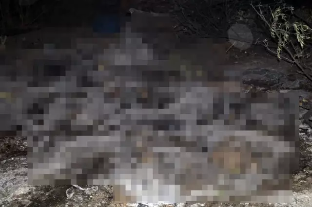 Son dakika haberi | Manavgat yangınında içleri yakan görüntü
