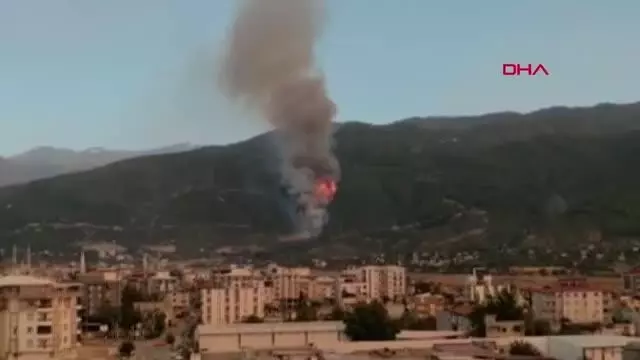 Osmaniye'de orman yangını