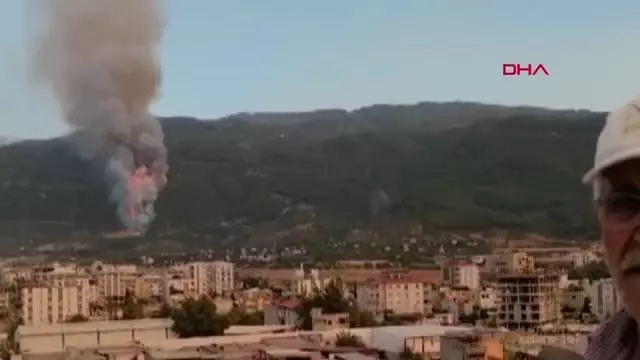 Osmaniye'de orman yangını