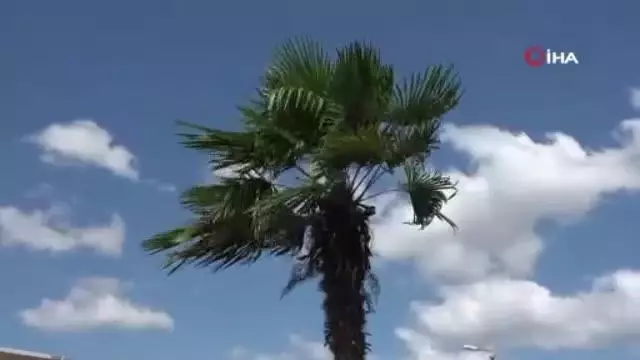 Samsun'da kuvvetli rüzgar etkisini artırıyor!