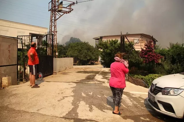 Manavgat'taki yangında sera ve ağaçları yanan kadınlar gözyaşlarına boğuldu
