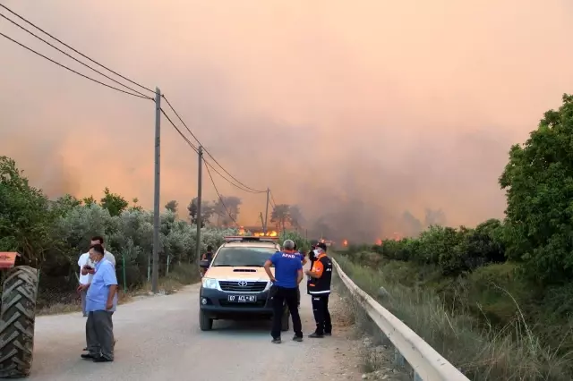 Manavgat'taki yangında sera ve ağaçları yanan kadınlar gözyaşlarına boğuldu