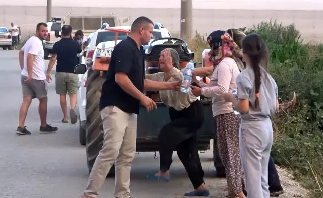 Manavgat'taki yangında sera ve ağaçları yanan kadınlar gözyaşlarına boğuldu