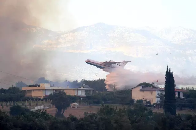 Manavgat'taki yangında sera ve ağaçları yanan kadınlar gözyaşlarına boğuldu