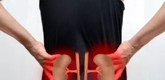 Tek böbrekle yaşanır mı? Böbrek yetmez belirtileri!