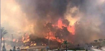 Wildfire at four different points in Manavgat