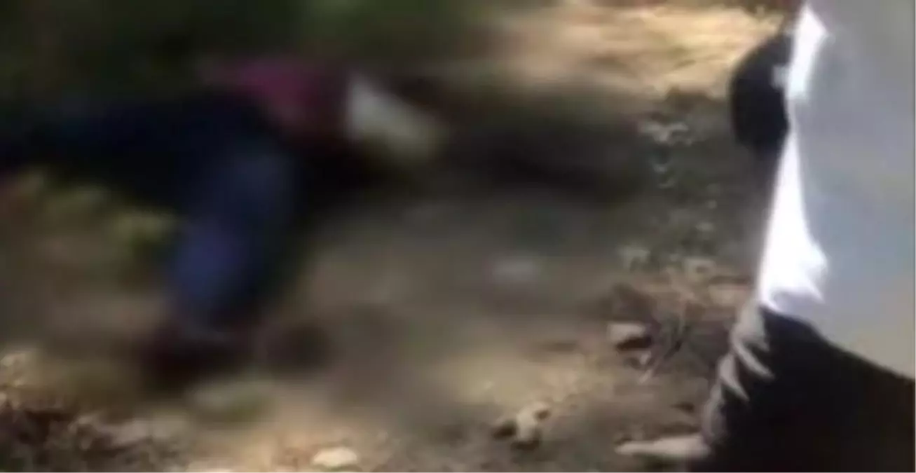 Adana'da ormanlık alanda kimliği belirsiz bir kadının cansız bedeni bulundu