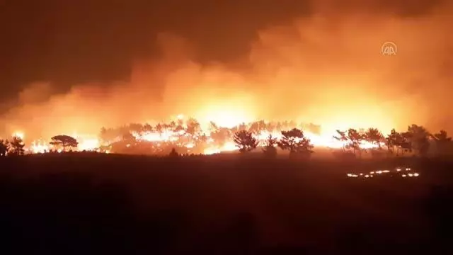 Akseki ilçesinde orman yangını çıktı